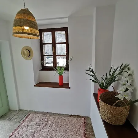 Salvia Apartmán Pićan